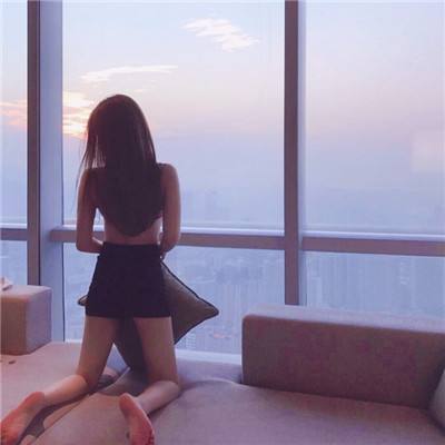豹旺财app下载